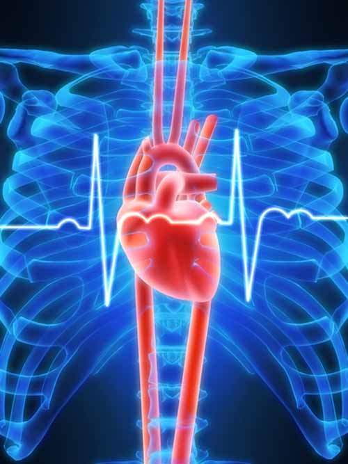 Atrial Çırpınımla Yaşamak