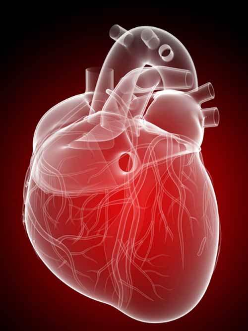 Atrial Çırpınımı Önleme