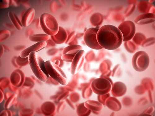 Düşük Hemoglobin Sayısı