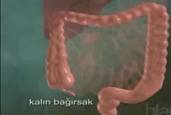 Mide ve Bağırsak İltihabı (Gastroenterit)