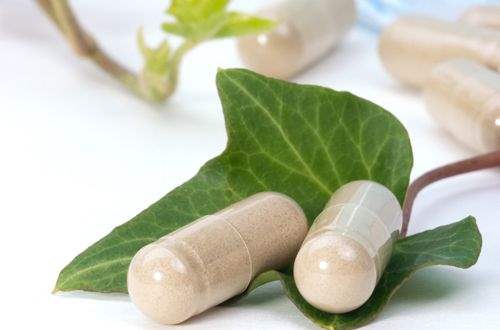 Ginkgo: Unutulmaması Gereken Bir Bitki?