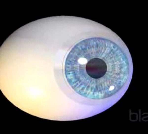 Retinitis Pigmentosa (Gece Körlüğü)