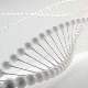 DNA Çevre Faktörlerden Etkileniyor