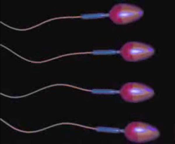 Kalın Sesli Erkeklerin Sperm Sayımı Düşük