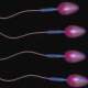 Kalın Sesli Erkeklerin Sperm Sayımı Düşük