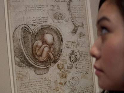 Da Vincinin Anatomik Çalışmaları Sergileniyor