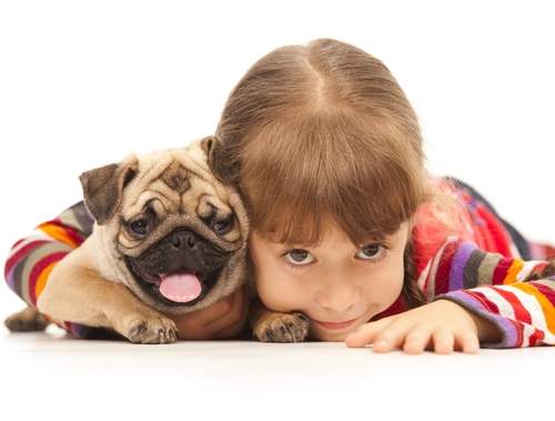Kedi Ve Köpek Bebeklerin Sağlık Kaynağı
