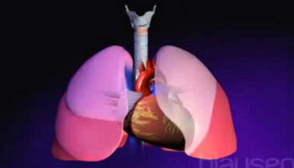 Akciğer Embolisinde Yaşam Tarzı Değişiklikleri Nelerdir?