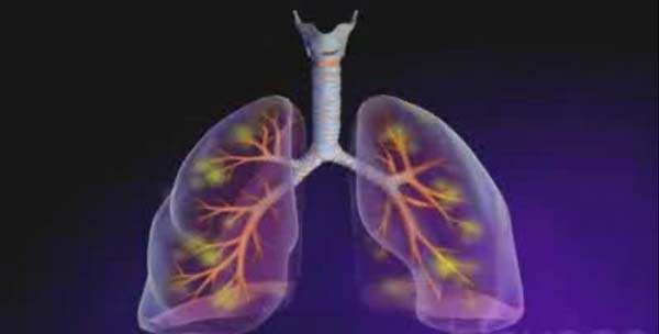 Metabolomik İncelemeler