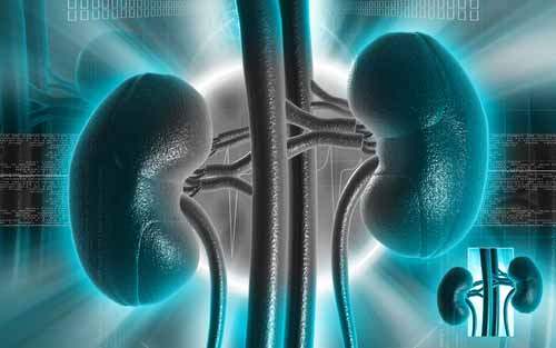 Metabolik Sendrom Böbreğin Fonksiyonunu Kötüleştiriyor