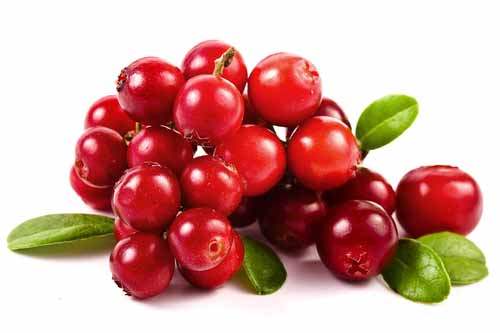 Aronia meyvesi tümörlü hücrede de yararlı