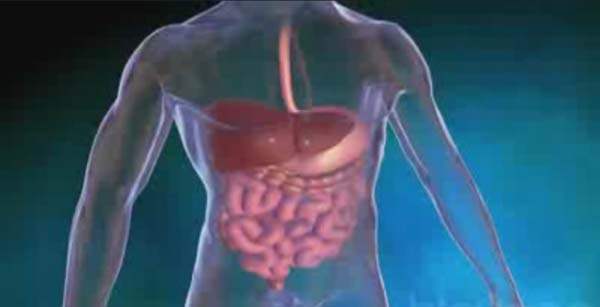 Gastrointestinal Kanama