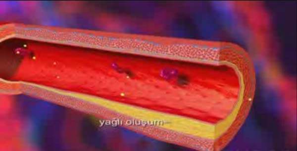 Trigliserit Düzeylerini Düşürmek