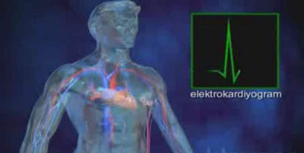 Elektrokardiyogram