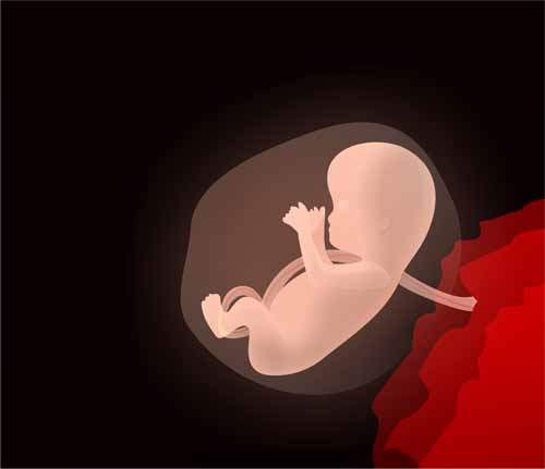 Fetal Fibronektin
