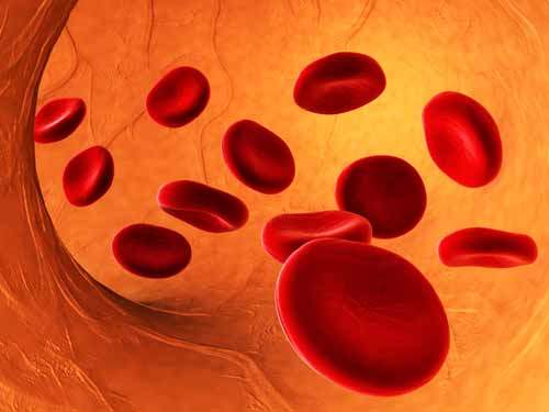 Hemoglobin Testi