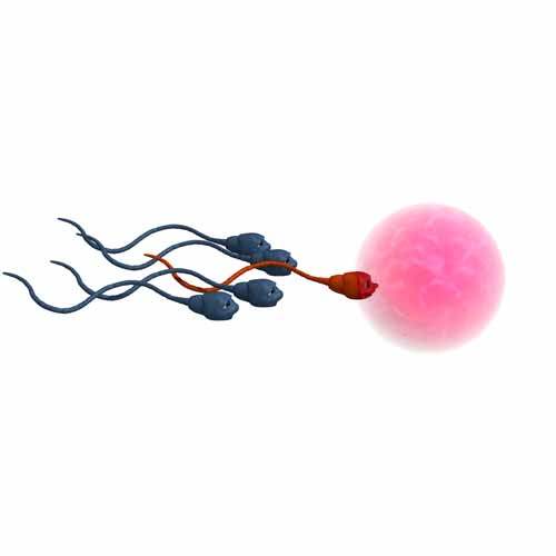 Spermisitler (Sperm öldürücüler)
