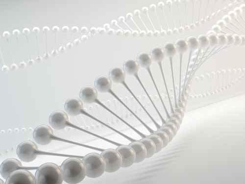 Dışkı DNA Testi