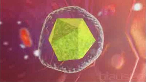 Hepatit C