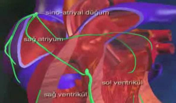Kalp Hastalıklarının Belirtileri