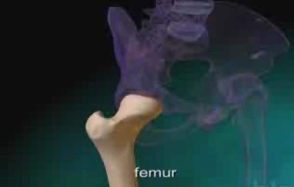 Osteoartritle İlgili Temel Bilgiler