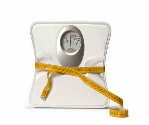 Weight Watchers (Kilo Takipçileri) Diyeti