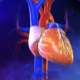 Kalp Hastalıkları ve Marfan Sendromu