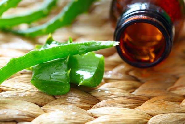 Aloe Veranın Cilt Bakımındaki Büyüsünü Öğrenin
