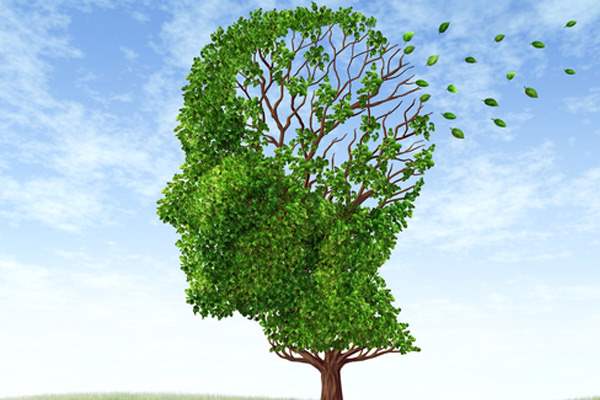 Alzheimer Hastalığını Önlemenin 30 Yolu
