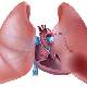 Akciğer Embolisi Teşhis Yöntemleri