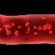 Platelet nedir?