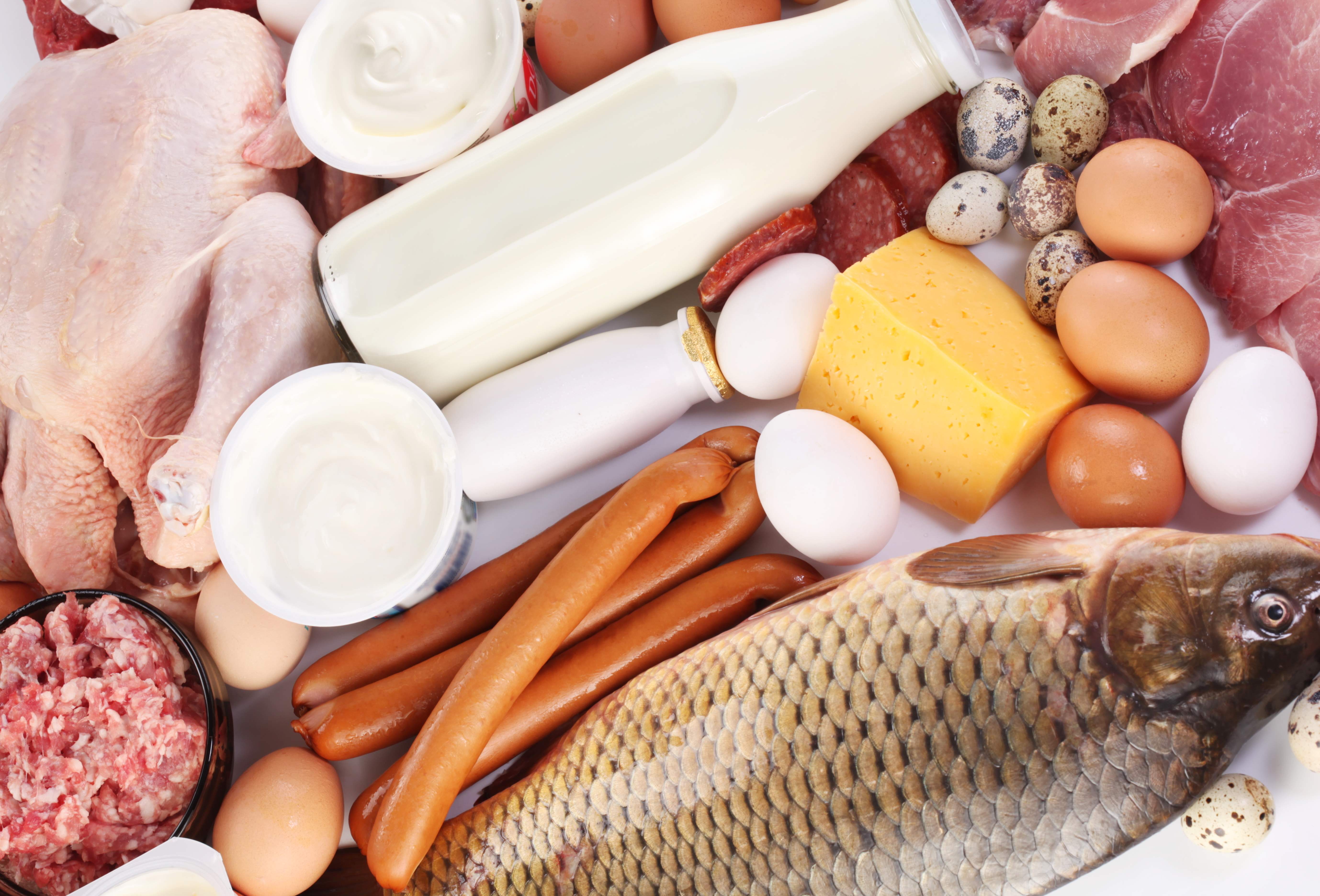 Kahvaltıda Protein ile Ruh Haliniz İyileşsin