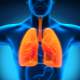 Akciğer Hastalıkları İçin Bitkisel Çareler Var Mıdır?