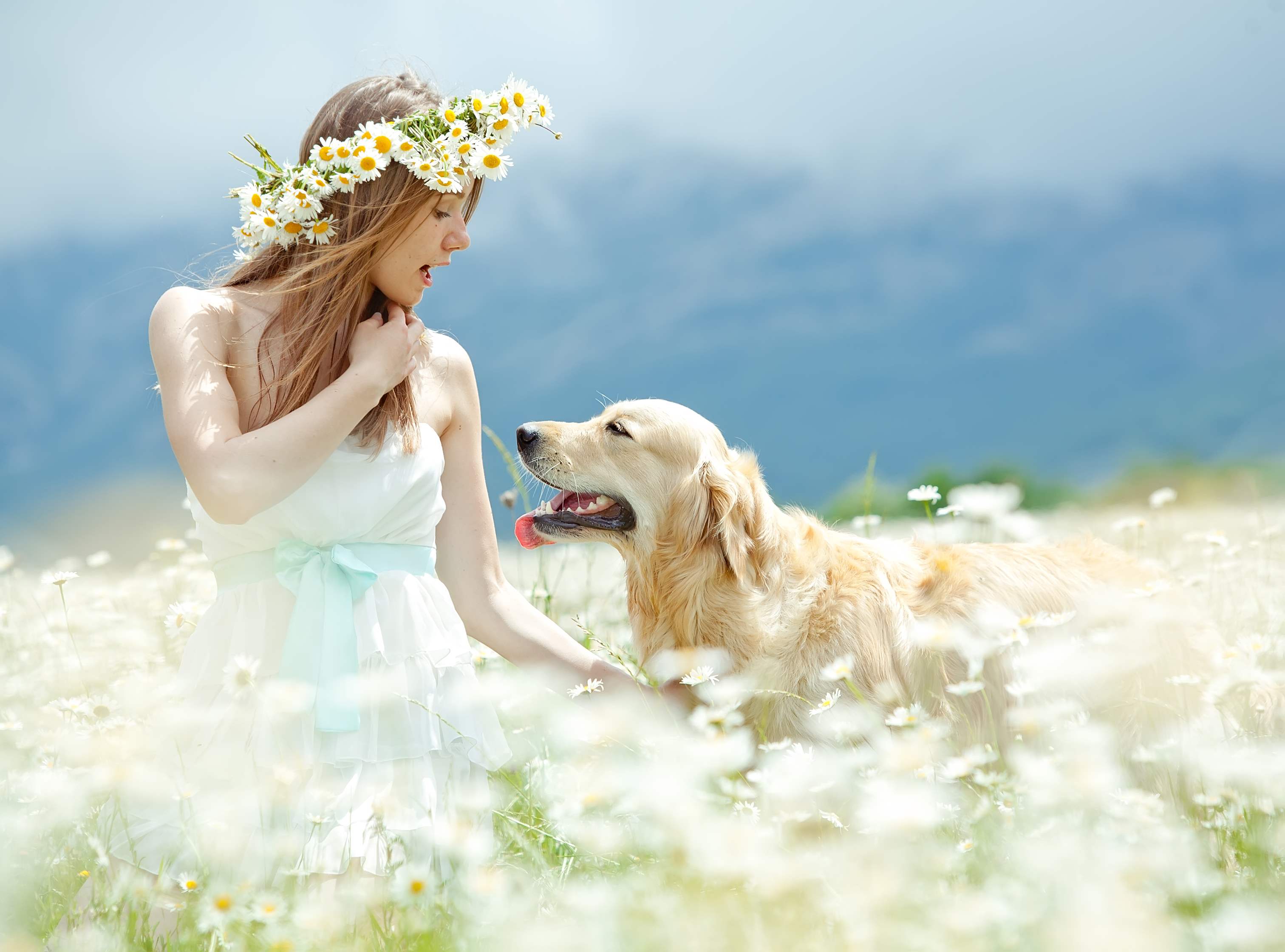 Köpek Sahibi Olmanın Şaşırtıcı Faydaları