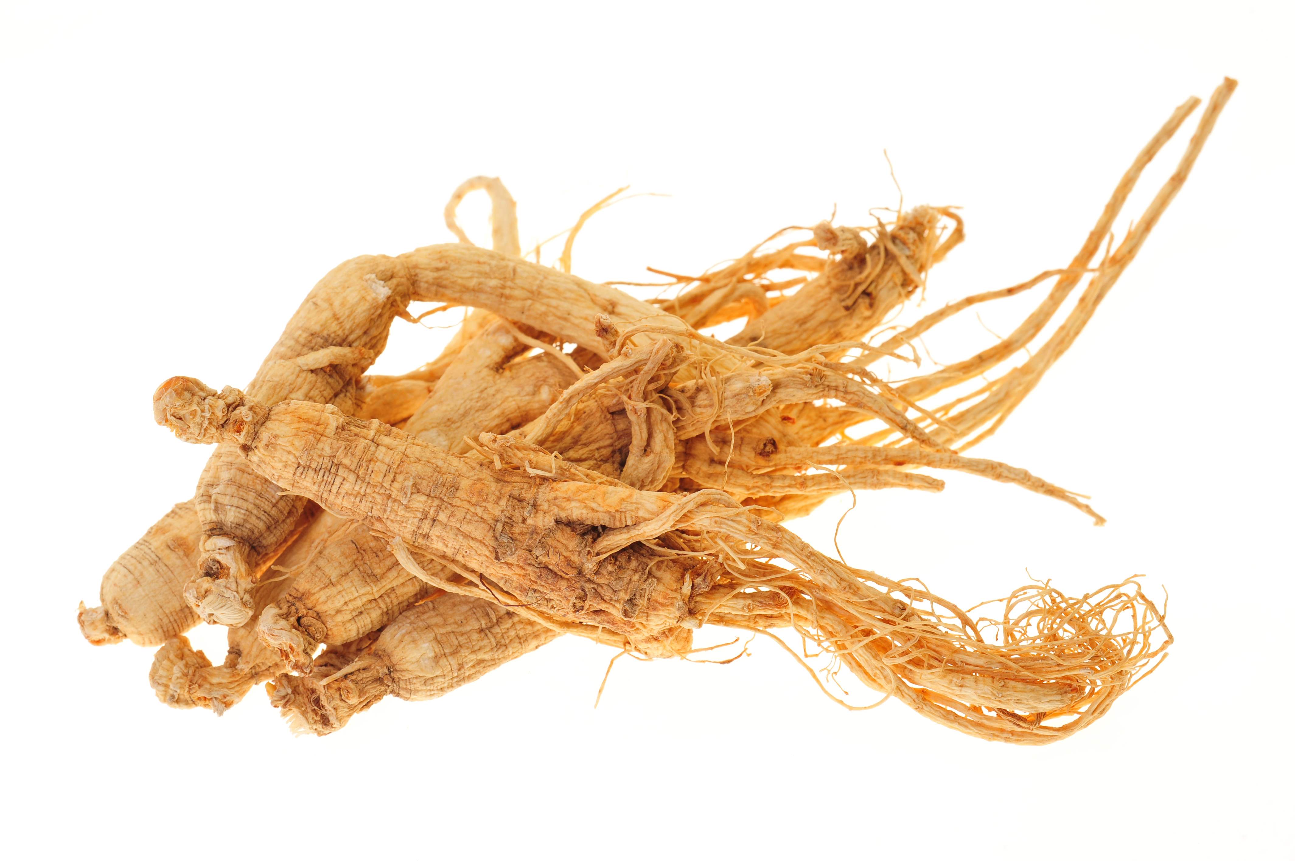 Ginseng bitkisinin mucizevi faydaları