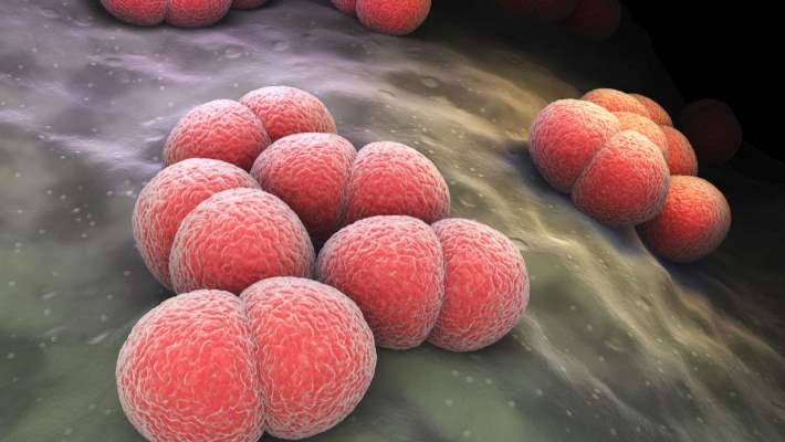 Menenjitin Sebepleri Nelerdir?