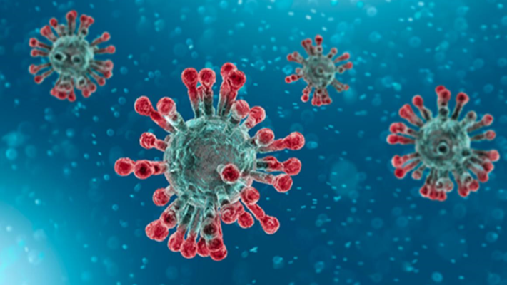 Koronavirüsü Kapmak Nasıl Önlenir?