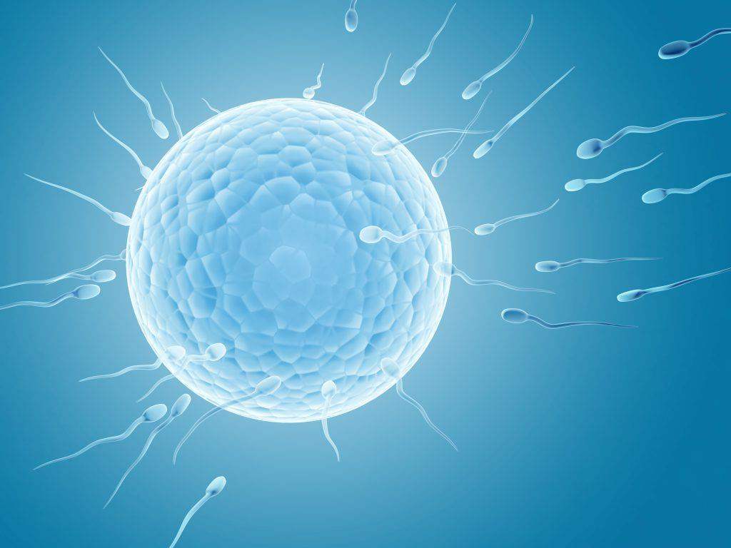 Sperm Sağlığını Kötü Etkileyen Gıdalar