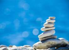 Kirpi Balığı Zehirlenmesi Kirpi Balığı Zehirlenmesi