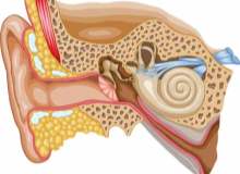 Kulak Yolu Enfeksiyonu