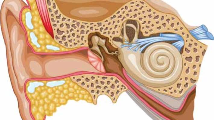 Kulak Yolu Enfeksiyonu