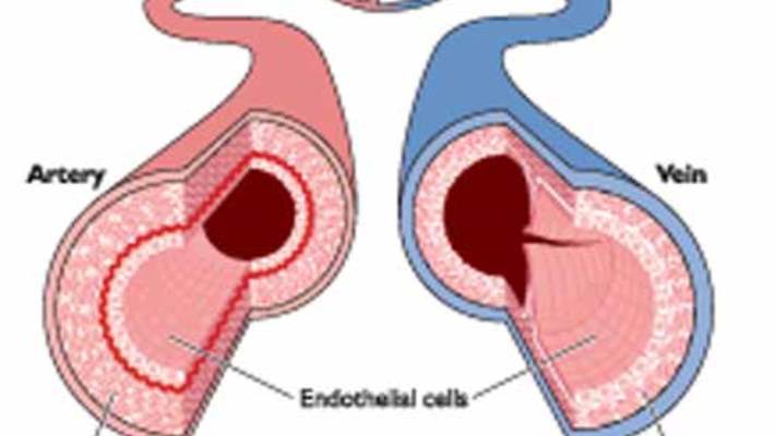 Atrial Çırpınım Hakkında Endişeler