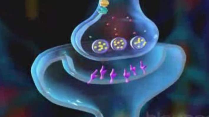 Yetişkinlerde Dehb Olabilir Mi?