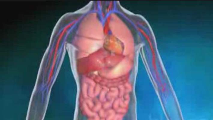 Diyabetin Vücuda Zararları