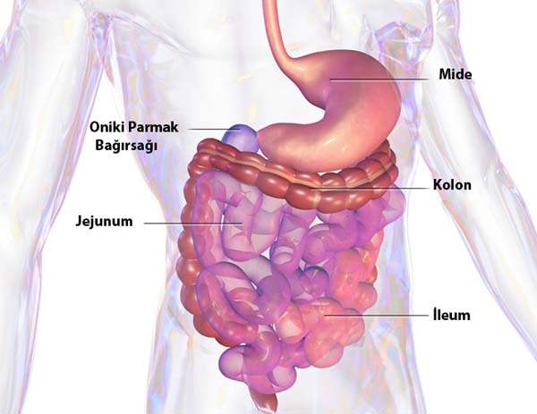 Crohn Hastalığı Hakkında 5 Yanlış İnanış