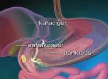 Sindirim Hastalıklarında Görüntüleme Testleri Sindirim Hastalıklarında Görüntüleme Testleri