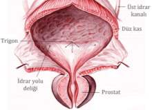 Prostat Ameliyatının Yan Etkileri Prostat Ameliyatının Yan Etkileri
