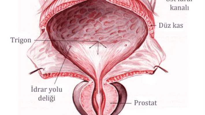 Prostat Ameliyatının Yan Etkileri