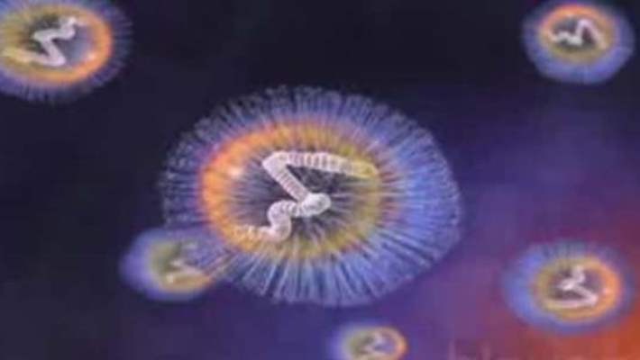 Kabakulak Ve Erkeklerde Kısırlık