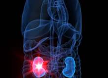 Normal İdrara Çıkma Sıklığı Nedir Normal İdrara Çıkma Sıklığı Nedir